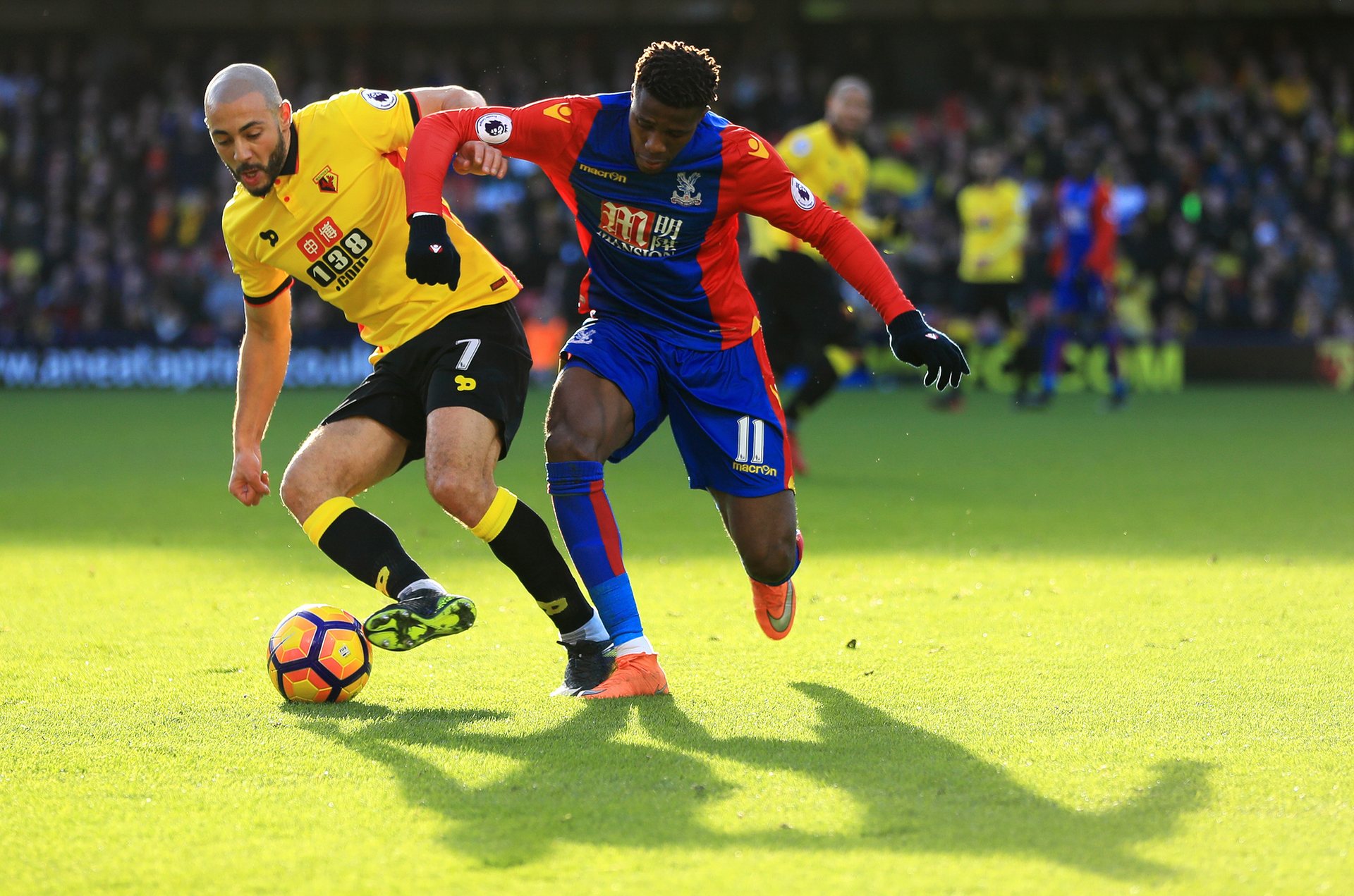 不仅提升了 不仅提升了